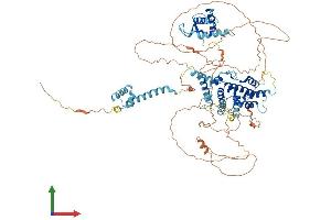 Protein Structure (PS) image for DEP Domain Containing 1 (DEPDC1) (AA 1-811) protein (His tag) (ABIN7553642)