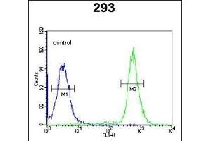A2ML1 Antibody (N-term) (ABIN650922 and ABIN2839996) flow cytometric analysis of 293 cells (right histogram) compared to a negative control cell (left histogram). (A2ML1 Antikörper  (N-Term))