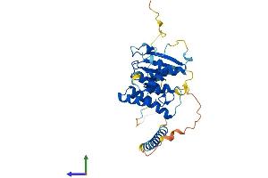 Protein Structure (PS) image for Aminoacyl tRNA Synthetase Complex-Interacting Multifunctional Protein 2 (AIMP2) (AA 1-320) protein (His tag) (ABIN7559611)