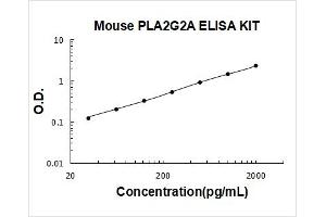 Phospholipase A2, Group IIA (Platelets, Synovial Fluid) (PLA2G2A) ELISA Kit