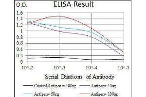 Black line: Control Antigen (100 ng), Purple line: Antigen(10 ng), Blue line: Antigen (50 ng), Red line: Antigen (100 ng), (Osteopontin Antikörper  (AA 167-314))