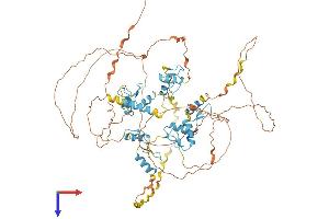 AlphaFold protein structure predicition of Human Recombinant ZNF219 Protein, UniprotID Q9P2Y4 (ZNF219 Protein (AA 1-722) (His tag))