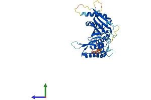Protein Structure (PS) image for Centromere Protein L (CENPL) (AA 1-344) protein (His tag) (ABIN7553415)