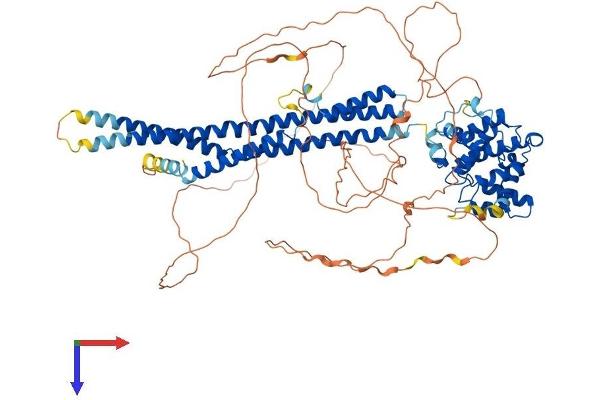 ARHGAP44 Protein (AA 1-818) (His tag)