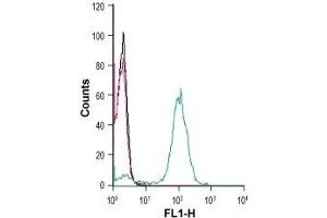 Cell surface detection of CX3CR1 in human THP-1 monocytic leukemia cells:(black line) Cells. (CX3CL1 Antikörper  (Extracellular))