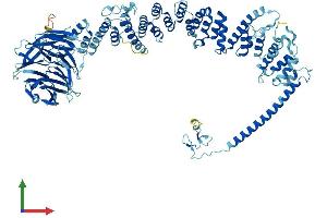 Protein Structure (PS) image for Vacuolar Protein Sorting 39 Homolog (VPS39) (AA 1-886) protein (His tag) (ABIN7555988)