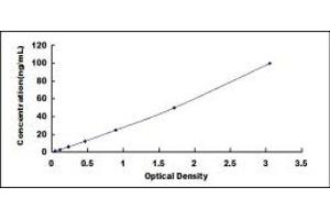 Typical standard curve (FLRT3 ELISA Kit)