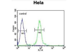 Flow Cytometry (FACS) image for anti-F-Box and WD Repeat Domain Containing 8 (FBXW8) (AA 273-303), (Middle Region) antibody (ABIN952296)