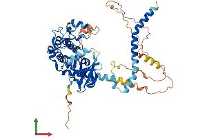 AlphaFold protein structure predicition of Human Recombinant STK4 Protein, UniprotID Q13043