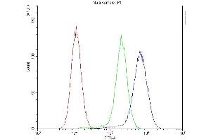 Flow Cytometry analysis of U-87 cells using anti-MVP antibody (ABIN5692897). (MVP Antikörper  (AA 2-259))