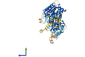 Protein Structure (PS) image for Serine Active Site Containing 1 (SERAC1) (AA 1-654) protein (His tag) (ABIN7557130)