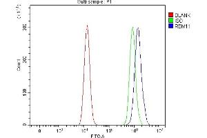 Flow Cytometry analysis of HEL cells using anti-RBM11 antibody (ABIN7599152). (RBM11 Antikörper  (AA 1-246))