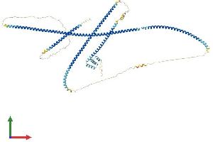 Protein Structure (PS) image for GRIP and Coiled-Coil Domain Containing 1 (GCC1) (AA 1-778) protein (His tag) (ABIN7560990)