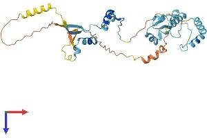 Heat Shock Protein 90kDa alpha (Cytosolic), Class A Member 5, Pseudogene (HSP90AA5P) (AA 1-334) protein (His tag)