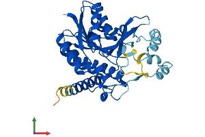 Protein Structure (PS) image for Hydroxysteroid (17-Beta) Dehydrogenase 7 (HSD17B7) (AA 1-334) protein (His tag) (ABIN7562659)
