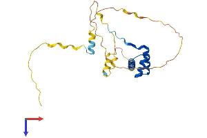 NKX3-1 Protein (AA 1-234) (His tag)