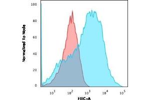 Flow Cytometric Analysis of HEK293 cells using Neurofilament Mouse Monoclonal Antibody (NE14) followed by goat anti-Mouse IgG-CF488 (Blue); Isotype control (Red). (NEFH Antikörper)