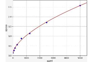 Beclin 1, Autophagy Related (BECN1) ELISA Kit