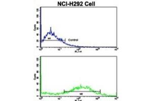 Flow Cytometry (FACS) image for anti-Calponin 1 (CNN1) antibody (ABIN3002805) (CNN1 Antikörper)