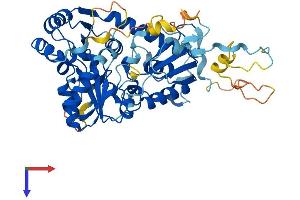 DPH2 Protein (AA 1-489) (His tag)