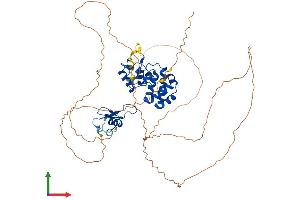 AlphaFold protein structure predicition of Mouse Recombinant Mbd4 Protein, UniprotID Q9Z2D7 (MBD4 Protein (AA 1-554) (His tag))