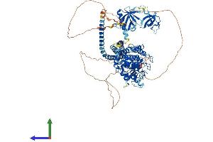 Protein Structure (PS) image for ArfGAP with SH3 Domain, Ankyrin Repeat and PH Domain 2 (ASAP2) (AA 1-958) protein (His tag) (ABIN7564186)