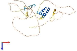 Chromosome 4 Open Reading Frame 17 (C4ORF17) (AA 1-359) protein (His tag)
