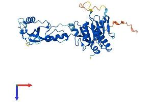 ADAT3 Protein (AA 1-349) (His tag)