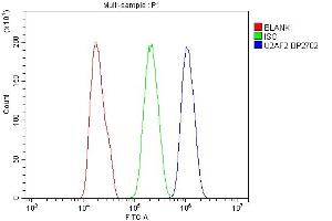 Flow Cytometry analysis of PC-3 cells using anti-U2AF2 antibody (ABIN7600793).
