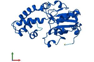 Protein Structure (PS) image for Haloacid Dehalogenase-Like Hydrolase Domain Containing 1 (HDHD1) (AA 1-228) protein (His tag) (ABIN7548271)