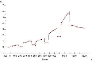 Surface Plasmon Resonance (SPR) image for Leukocyte Immunoglobulin-Like Receptor, Subfamily B (With TM and ITIM Domains), Member 2 (LILRB2) (AA 24-457) protein (His tag) (ABIN7275157)