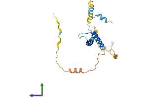 Protein Structure (PS) image for Heart and Neural Crest Derivatives Expressed 2 (HAND2) (AA 1-217) protein (His tag) (ABIN7557651)