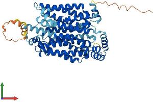 Protein Structure (PS) image for Solute Carrier Family 2 (Facilitated Glucose Transporter), Member 2 (SLC2A2) (AA 1-524) protein (His tag) (ABIN7554046)