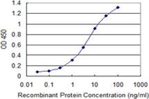Detection limit for recombinant GST tagged ULK2 is 0. (ULK2 Antikörper  (AA 743-843))