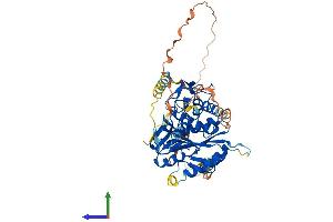 Protein Structure (PS) image for Autophagy related 4D Cysteine Peptidase (ATG4D) (AA 1-474) protein (His tag) (ABIN7552485)