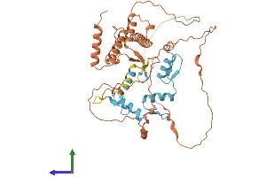 AlphaFold protein structure predicition of Human Recombinant ZBTB42 Protein, UniprotID B2RXF5
