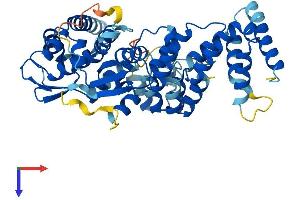 ABTB1 Protein (AA 1-478) (His tag)