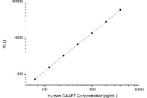 Typical standard curve (Caspase 7 CLIA Kit)