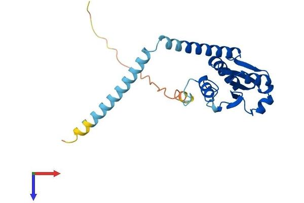 TXNDC9 Protein (AA 1-226) (His tag)