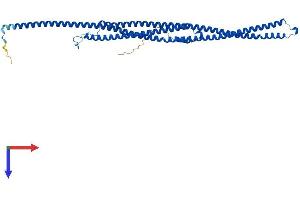 TEKT1 Protein (AA 1-418) (His tag)