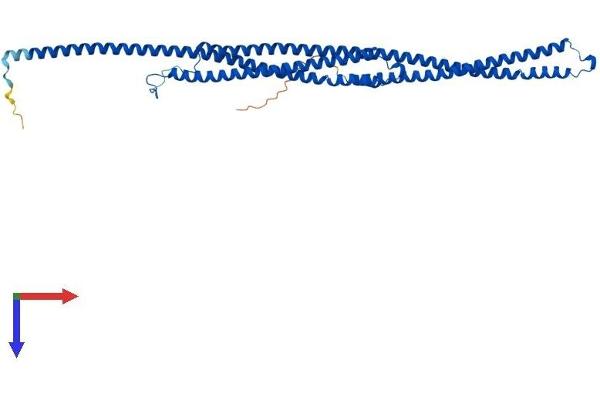 TEKT1 Protein (AA 1-418) (His tag)