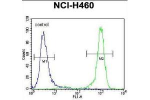 Flow Cytometry (FACS) image for anti-Cholinergic Receptor, Nicotinic, delta (Muscle) (CHRND) (AA 175-204), (Middle Region), (Subunit delta) antibody (ABIN950235)