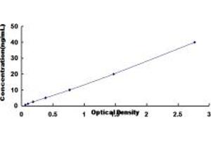 Typical standard curve (Biliverdin Reductase ELISA Kit)