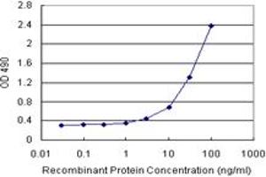 Sandwich ELISA detection sensitivity ranging from 1 ng/mL to 100 ng/mL.