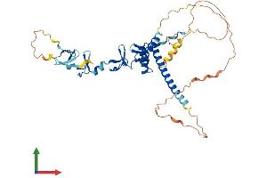 AlphaFold protein structure predicition of Human Recombinant LMX1A Protein, UniprotID Q8TE12