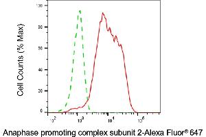 Flow cytometric analysis of Anaphase promoting complex subunit 2 expression in HAP-1 cells using Anaphase promoting complex subunit 2 antibody (ABIN7797596), 1:2,000). (ANAPC2 Antikörper)