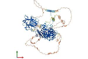 Protein Structure (PS) image for beta-1,4-N-Acetyl-Galactosaminyl Transferase 4 (B4GALNT4) (AA 1-1034) protein (His tag) (ABIN7564180)