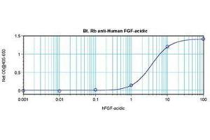 Image no. 1 for anti-Fibroblast Growth Factor 1 (Acidic) (FGF1) antibody (Biotin) (ABIN465424) (FGF1 Antikörper  (Biotin))