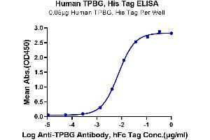ELISA image for Trophoblast Glycoprotein (TPBG) (AA 32-355) protein (His-Avi Tag) (ABIN7273784)
