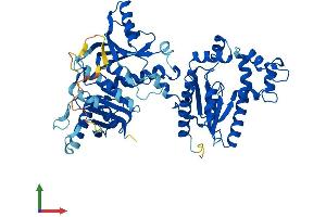 Protein Structure (PS) image for CoA Synthase (COASY) (AA 1-563) protein (His tag) (ABIN7561286)